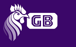 GB-ZF